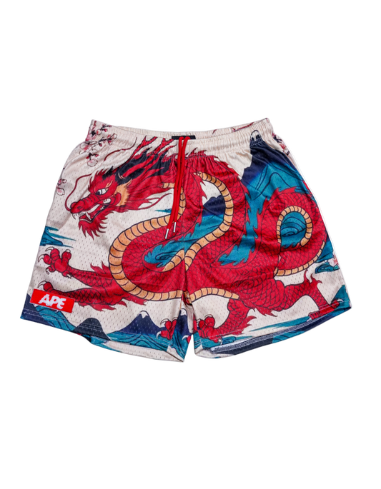 Year of the Dragon Shorts